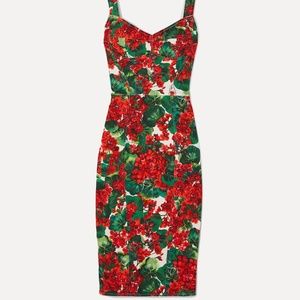 D&G Red Floral Floral-print Stretch-cady Dress